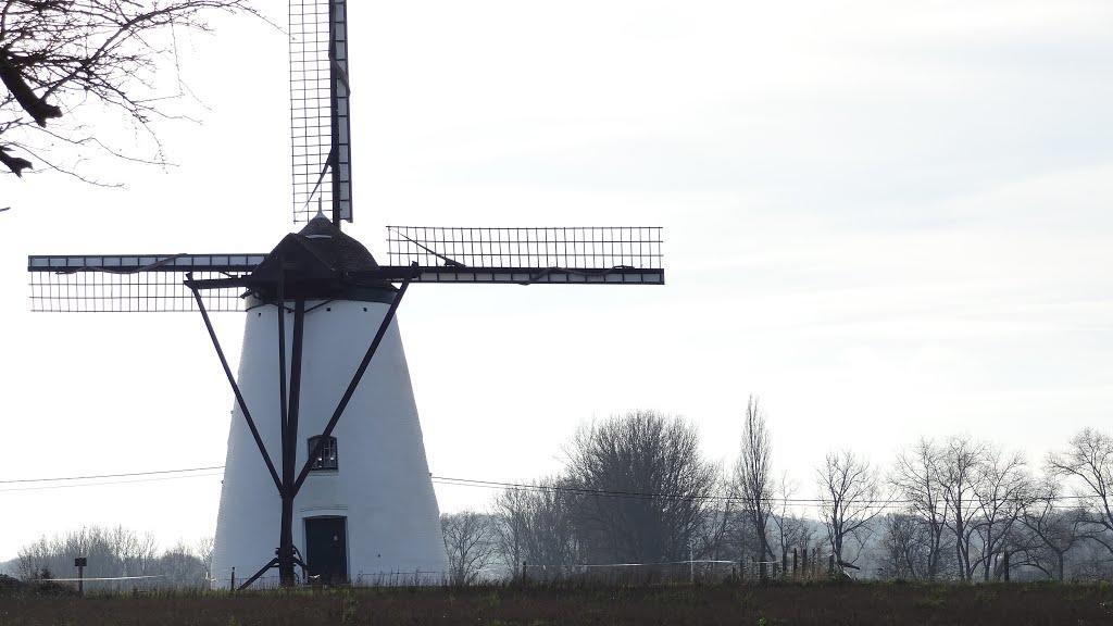 B&B Moriaan Brakel Exterior foto